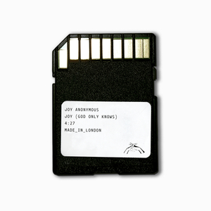 姉弟だから…擦るまでだよ
